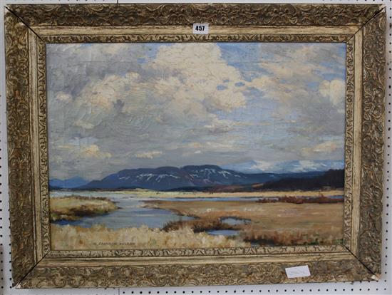 H.Cameron Wilson, oil coastal landscape(-)